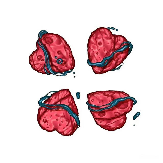 4ch + | сливы блогерш, сливы онлифанщиц и многое другое